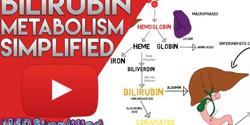 Hubungan antara kadar hemoglobin dengan bilirubin total pd ikterus neonatus di rsab kir