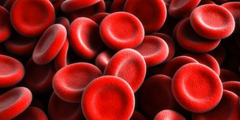 INDEKS ERITROSIT dan MORFOLOGI ERITROSIT PADA WANITA SEDANG MENSTRUASI dan TIDAK SEDANG MENSTRUASI