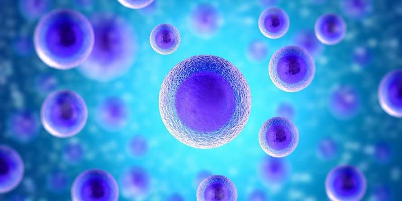 PERBANDINGAN HASIL PEMERIKSAAN RETIKULOSIT, HEMATOKRIT DARAH VENA K₃EDTA DENGAN DARAH NATRIUM CITRAT