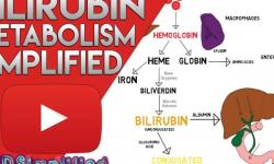 Hubungan antara kadar hemoglobin dengan bilirubin total pd ikterus neonatus di rsab kir